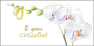 в день свадьбы! конверт 075.424 /мирпоздр